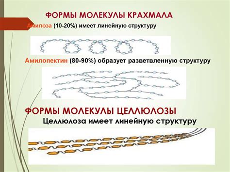 Молекулы крахмала