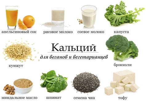 Молочные продукты: кальций и белок для здоровья фигуры