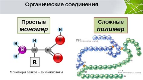 Мономеры белков