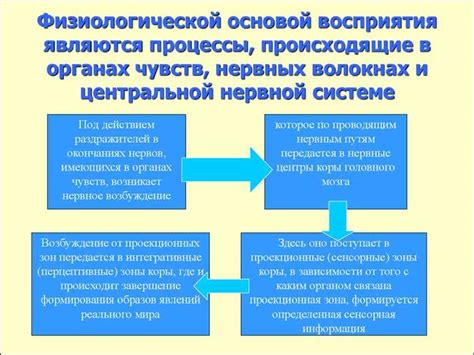 Моральность и поведение: взаимосвязь и влияние