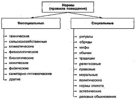 Моральные нормы и их роль