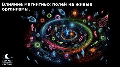 Моя гипотеза: влияние планетарных магнитных полей