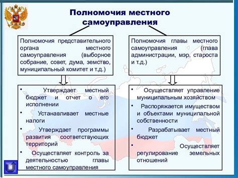 Муниципальные законодательные органы