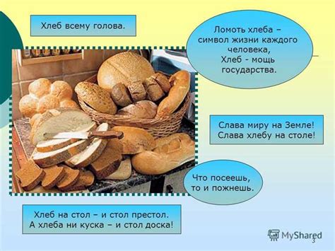 Мускус в истории и культуре: символика и значение