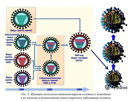 Мутации вируса и их последствия