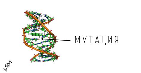 Мутации генов