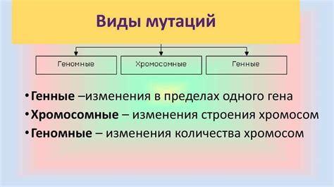 Мутации и изменение генотипа