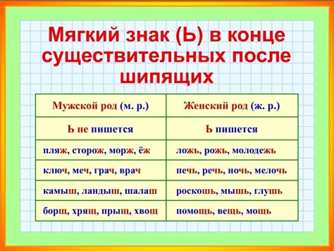 Мягкий знак после шипящих