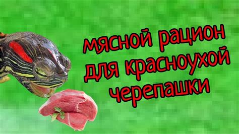 Мясной рацион