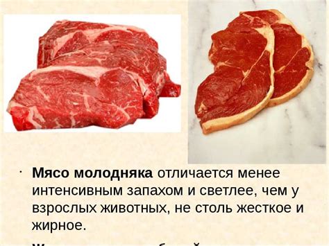 Мясо категории А: чем отличается говядина от других видов мяса?