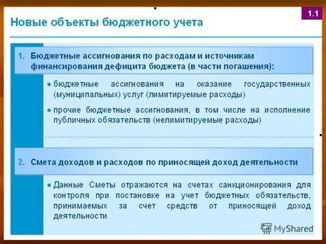 НФА в бюджетных учреждениях: основные понятия