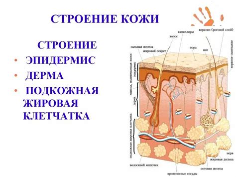 Нанесение слоев воска и кожи