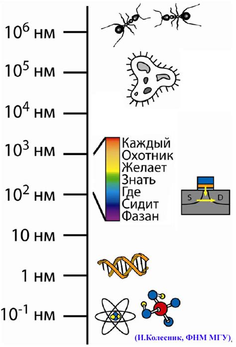 Нанометр – это