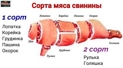 Напоминает некоторые сорта свинины