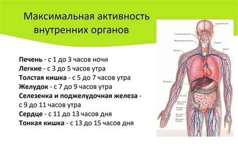 Нарушение биологических ритмов