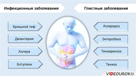 Нарушение пищеварительной системы как главная причина