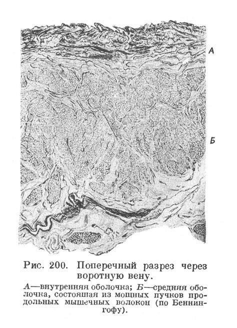 Нарушение целостности гофры