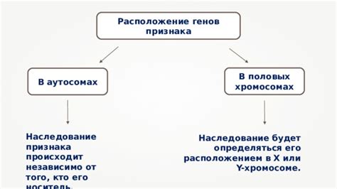 Наследование титула: кто будет следующим в ряду?