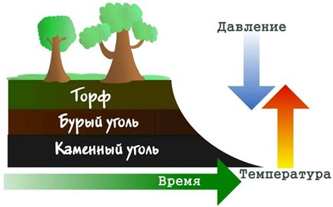 Наследственные факторы в развитии приливов