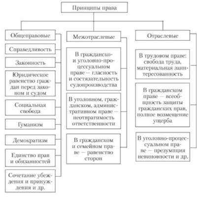 Научный закон: определение и примеры