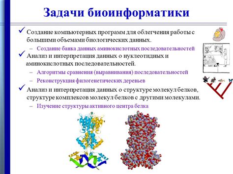 Начало биоинформатики и ее основные задачи