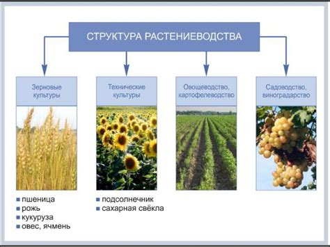 Неблагоприятные условия возделывания