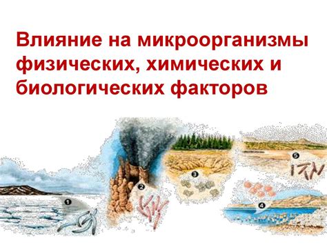 Негативное влияние на микроорганизмы