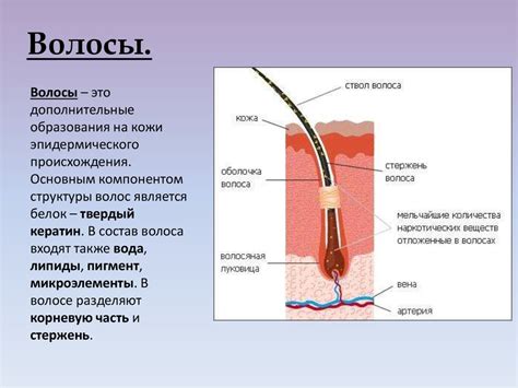 Негативный вклад в состояние кожи и волос