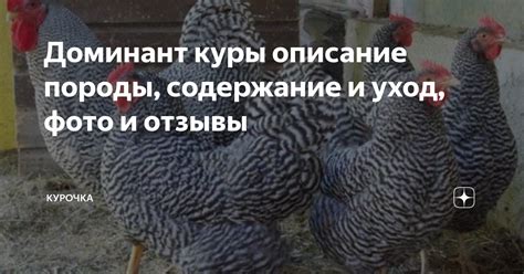 Некорректные условия содержания