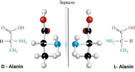 Некоторые примеры D-аминокислот