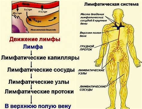 Неполное лечение лимфомы