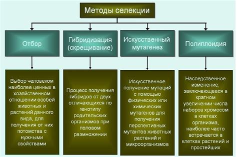 Неправильное использование методов отбора