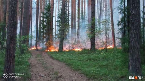 Неуправляемый пожар в лесопарке