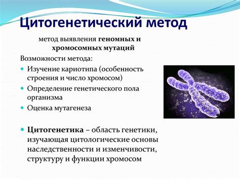 Новые исследования и перспективы изучения хромосом