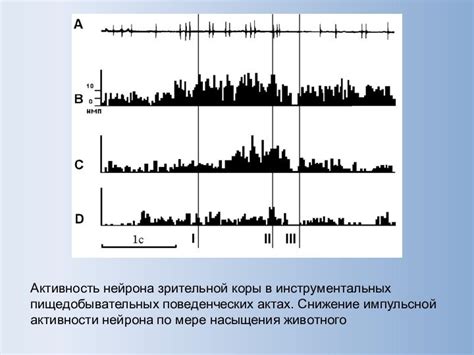 Новые исследования и перспективы развития центральной импульсной нейрорегуляции усть качка