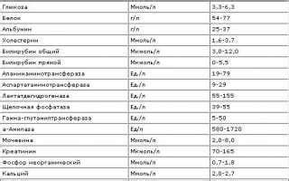 Нормы уровня фосфора в крови женщин