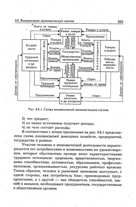 Образование и развитие экономических взаимосвязей