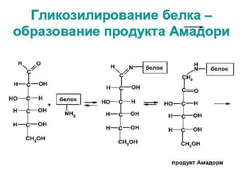 Образование продукта