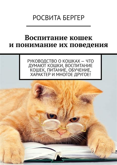 Обучение и исправление поведения кошки