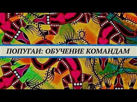 Обучение командам и трюкам