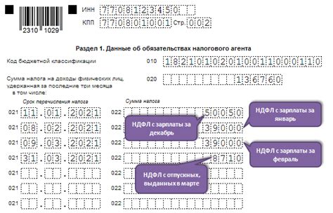 Общая информация о форме 6 НДФЛ