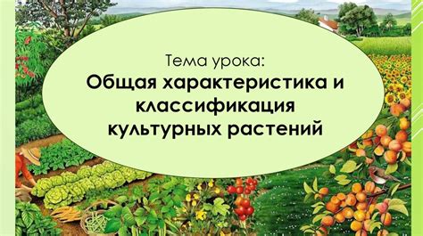 Общая классификация растений