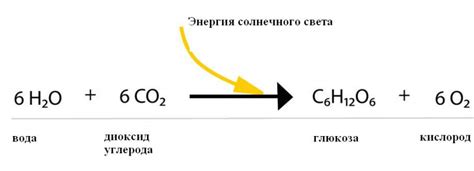 Общая реакция на использование "зы"