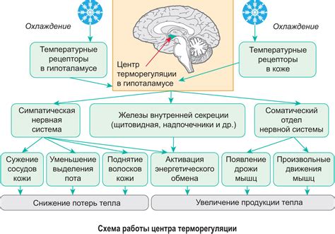 Общественные изменения и адаптация