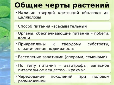 Общие черты