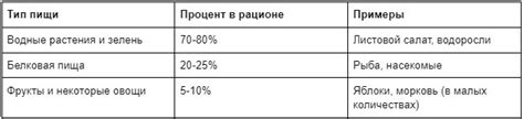 Овощи, фрукты и ягоды в рационе красноухой черепахи