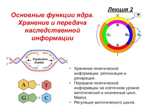 Ограничение на передачу генетической информации