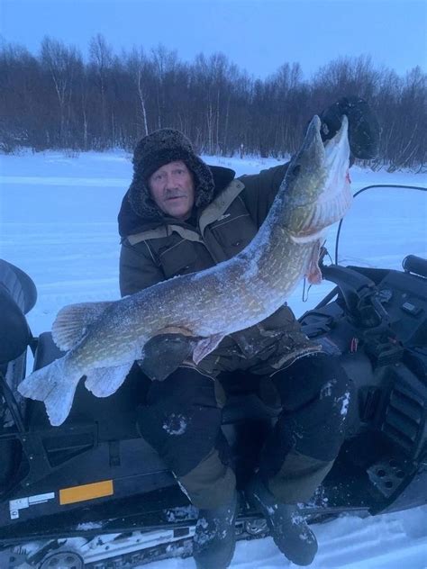 Огромную рыбу поймали в Адлере