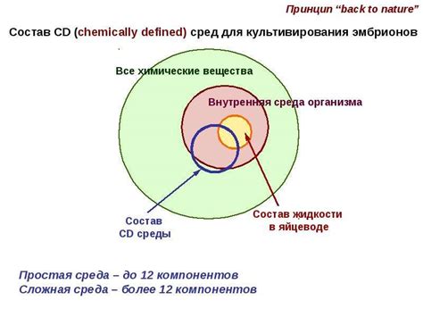 Ожидаемые результаты и перспективы культивирования эмбрионов