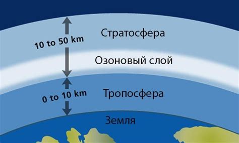 Озоновый слой и его влияние на животный мир